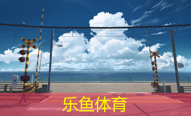 乐鱼体育,淮安特制塑胶跑道铸造辉煌